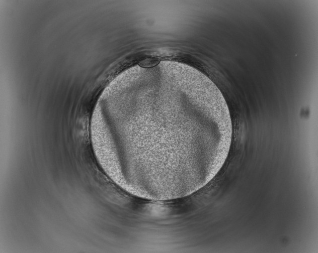 X0000115280425200911201756