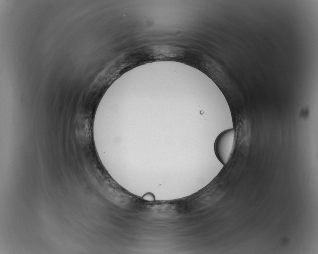 X0000115280426200911201756