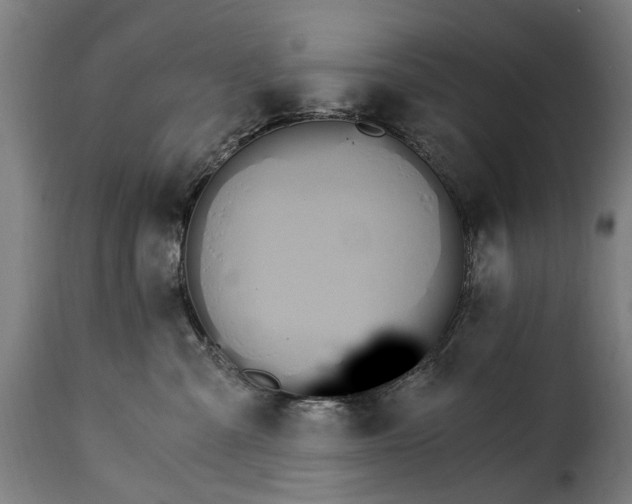 X0000115280427200911201756