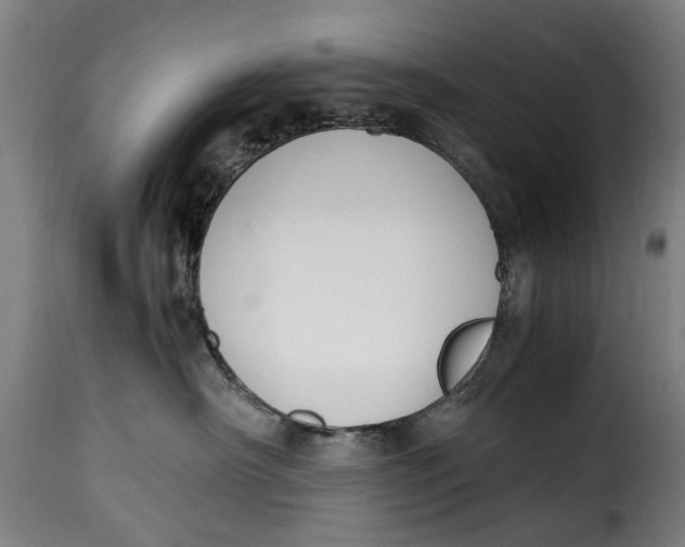 X0000115280430200911201756