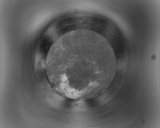 X0000115280431200911201756