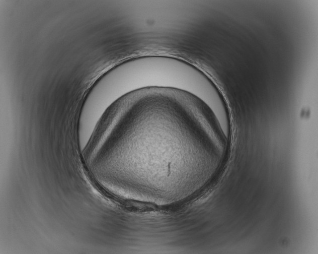 X0000115280433200911201755