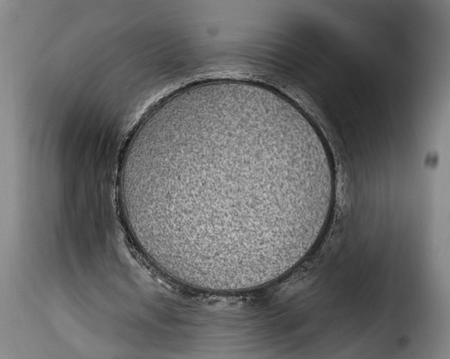 X0000115280434200911201755