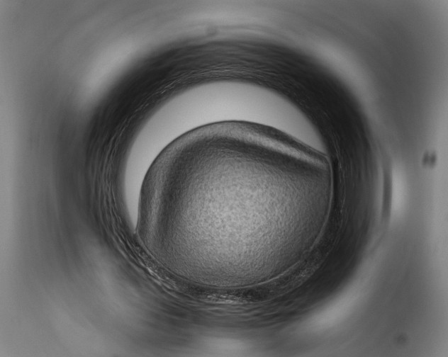 X0000115280435200911201755