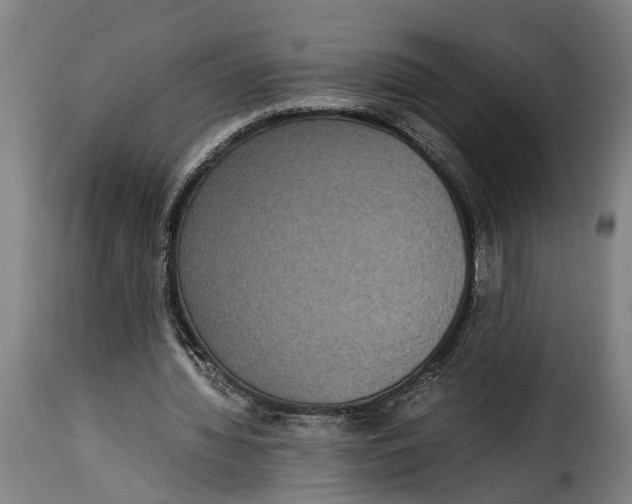 X0000115280436200911201755