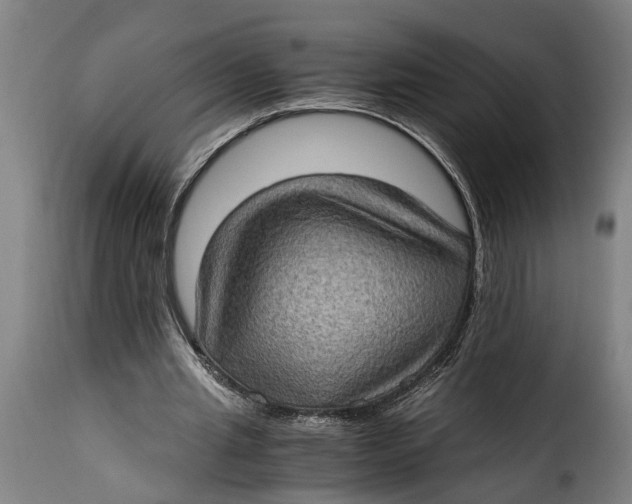 X0000115280437200911201755