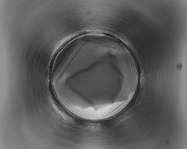 X0000115280438200911201755