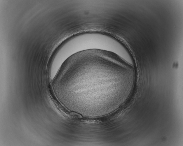 X0000115280439200911201755