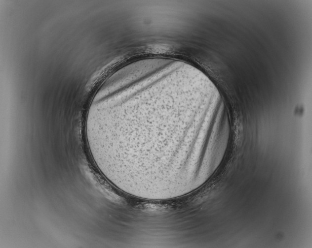 X0000115280442200911201755