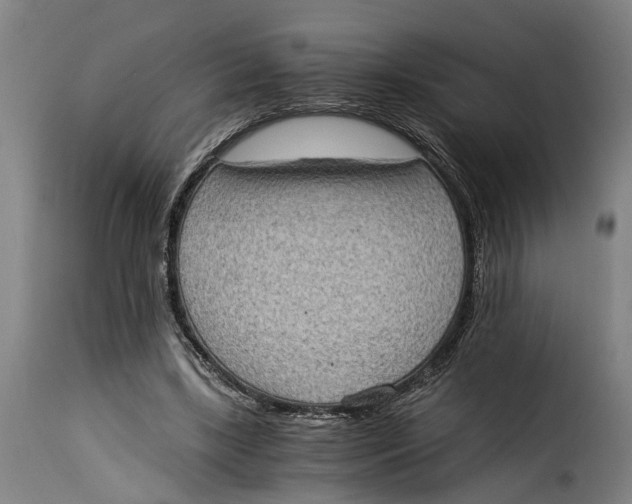 X0000115280443200911201755