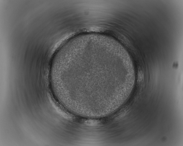 X0000115280444200911201755