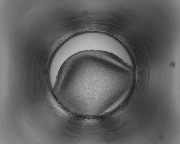 X0000115280445200911201755