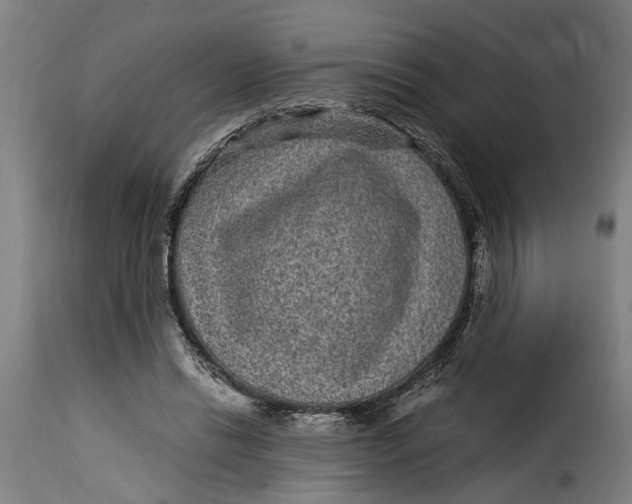 X0000115280446200911201755