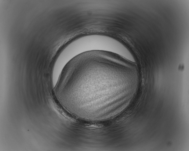 X0000115280447200911201755