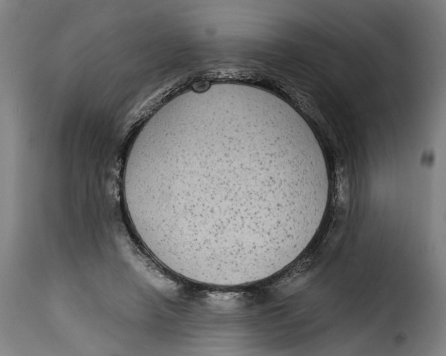 X0000115280450200911201755