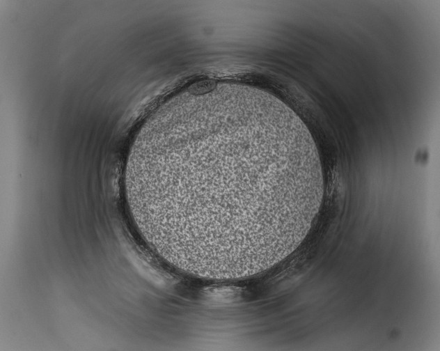 X0000115280452200911201755