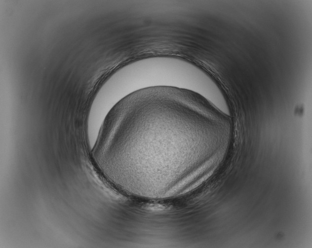 X0000115280453200911201755