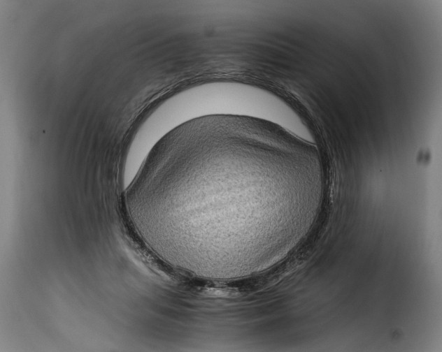 X0000115280455200911201755