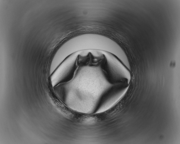 X0000115280456200911201756