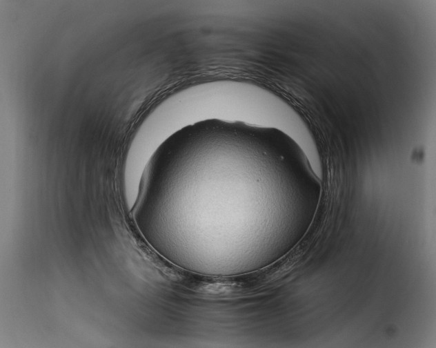 X0000115280461200911201756