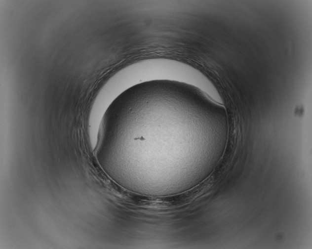 X0000115280463200911201756