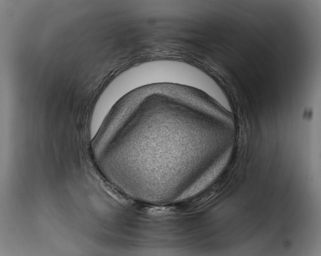 X0000115280465200911201756