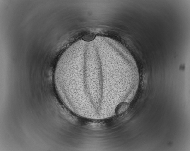 X0000115280466200911201756