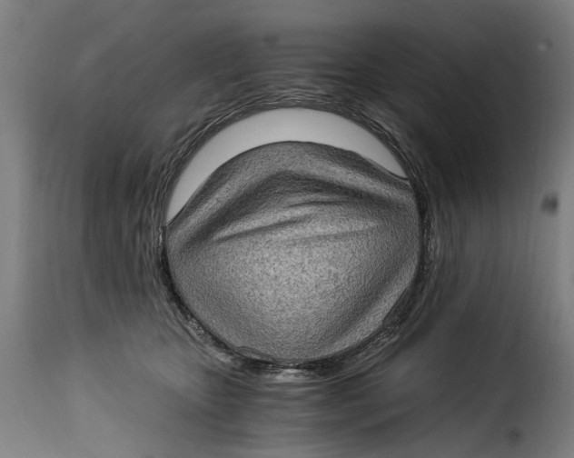 X0000115280467200911201756