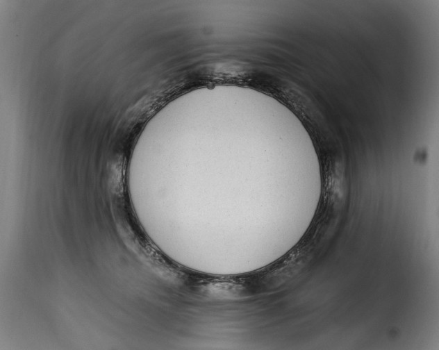 X0000115280468200911201756