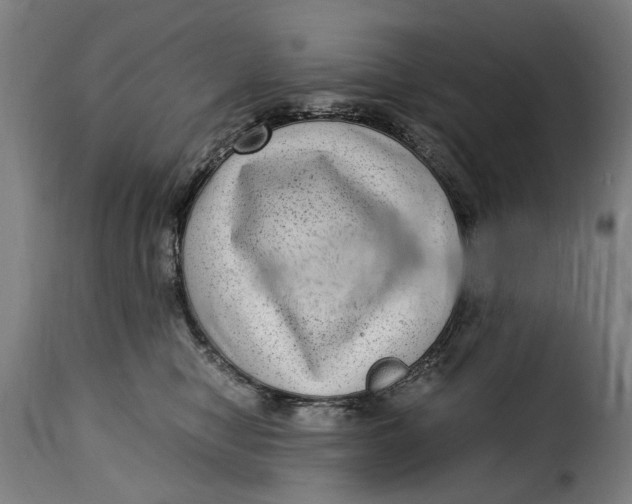 X0000115280470200911201756