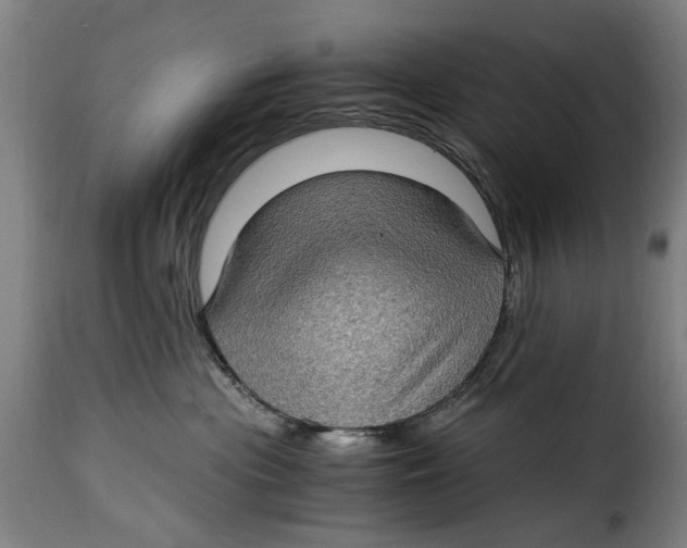 X0000115280477200911201756