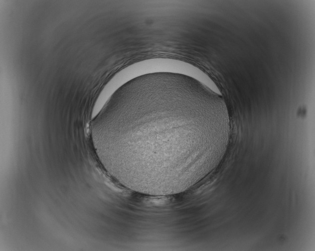 X0000115280479200911201756