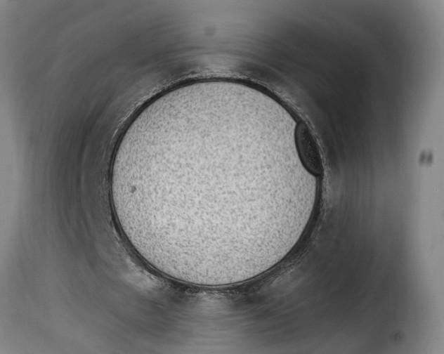 X0000115280481200911201755