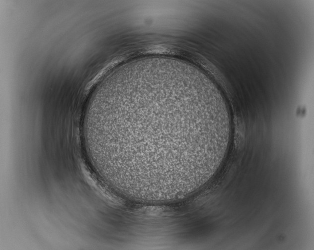 X0000115280482200911201755