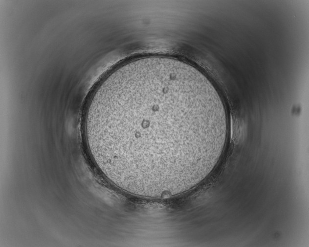 X0000115280483200911201755