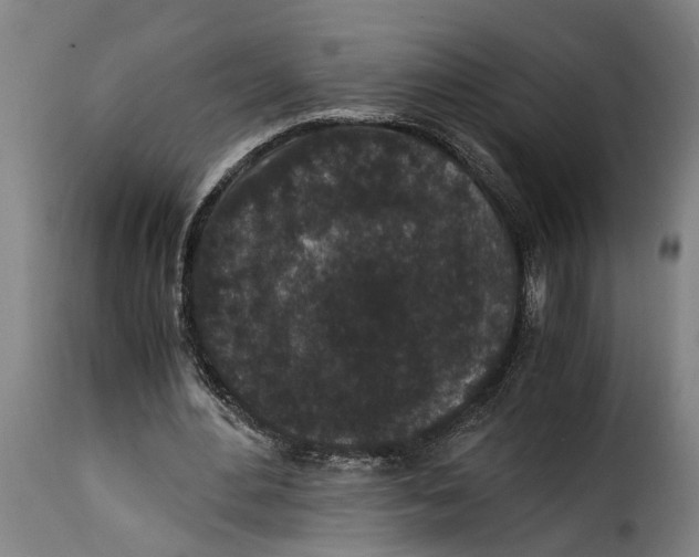 X0000115280484200911201755