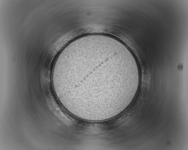 X0000115280485200911201755