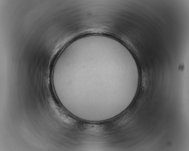 X0000115280486200911201755