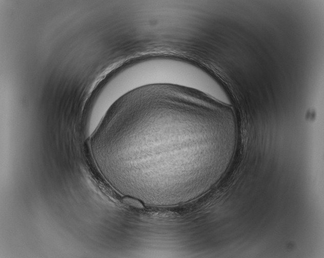 X0000115280488200911201755