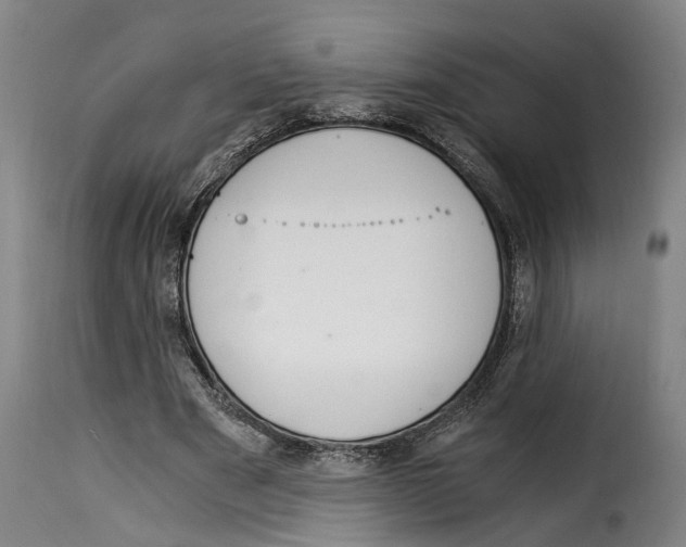 X0000115280489200911201755