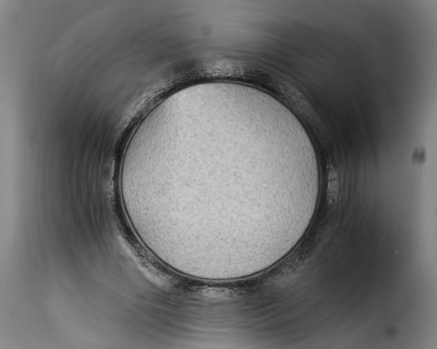 X0000115280490200911201755