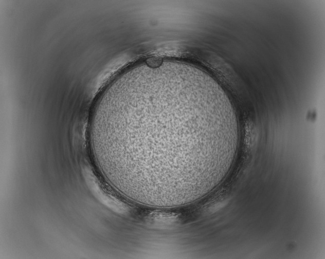 X0000115280491200911201755