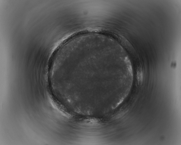 X0000115280492200911201755