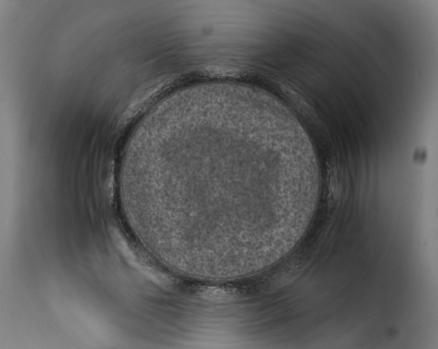 X0000115280494200911201755