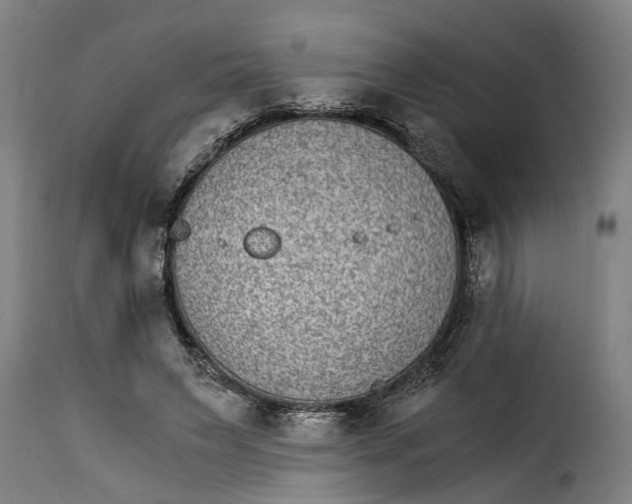 X0000115280495200911201755