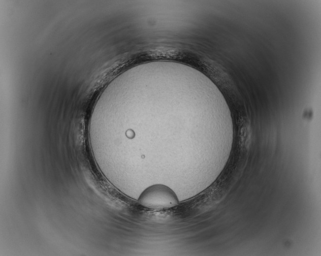 X0000115280498200911201755