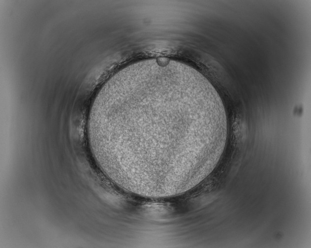 X0000115280499200911201755