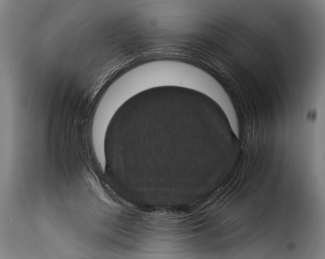 X0000115280500200911201755