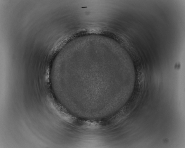 X0000115280502200911201755