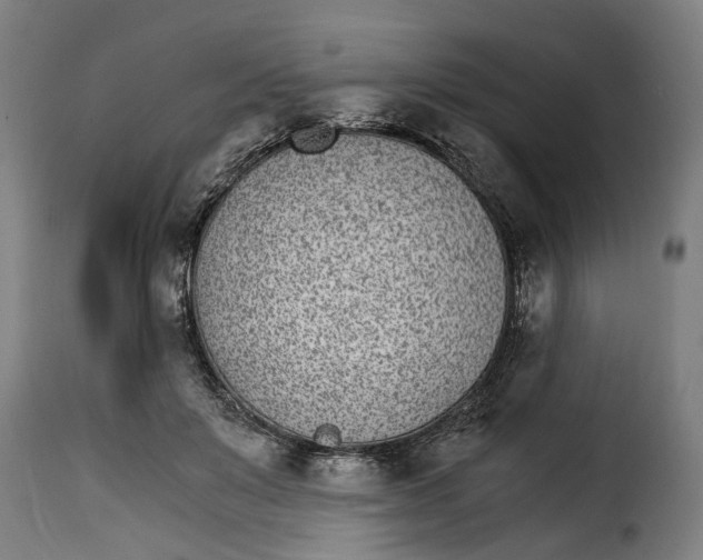 X0000115280503200911201755